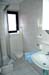 Delphin_08