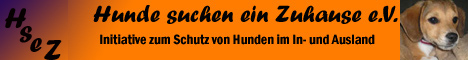 Banner_Hsez