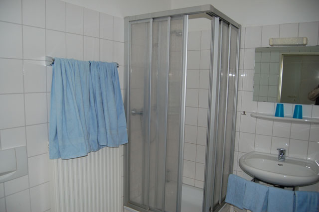 Seehund_07